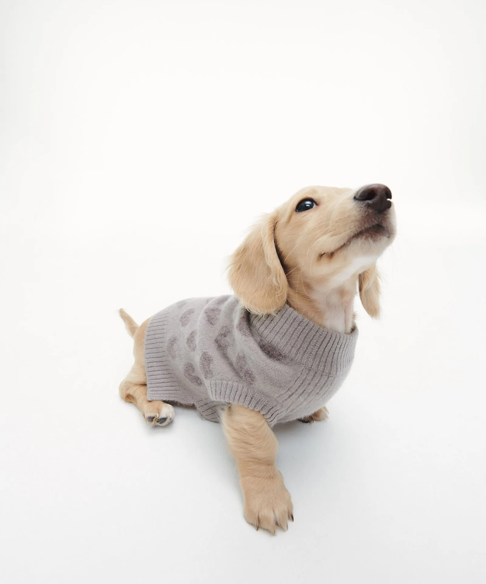 Cashmere Heart Dog Sweater