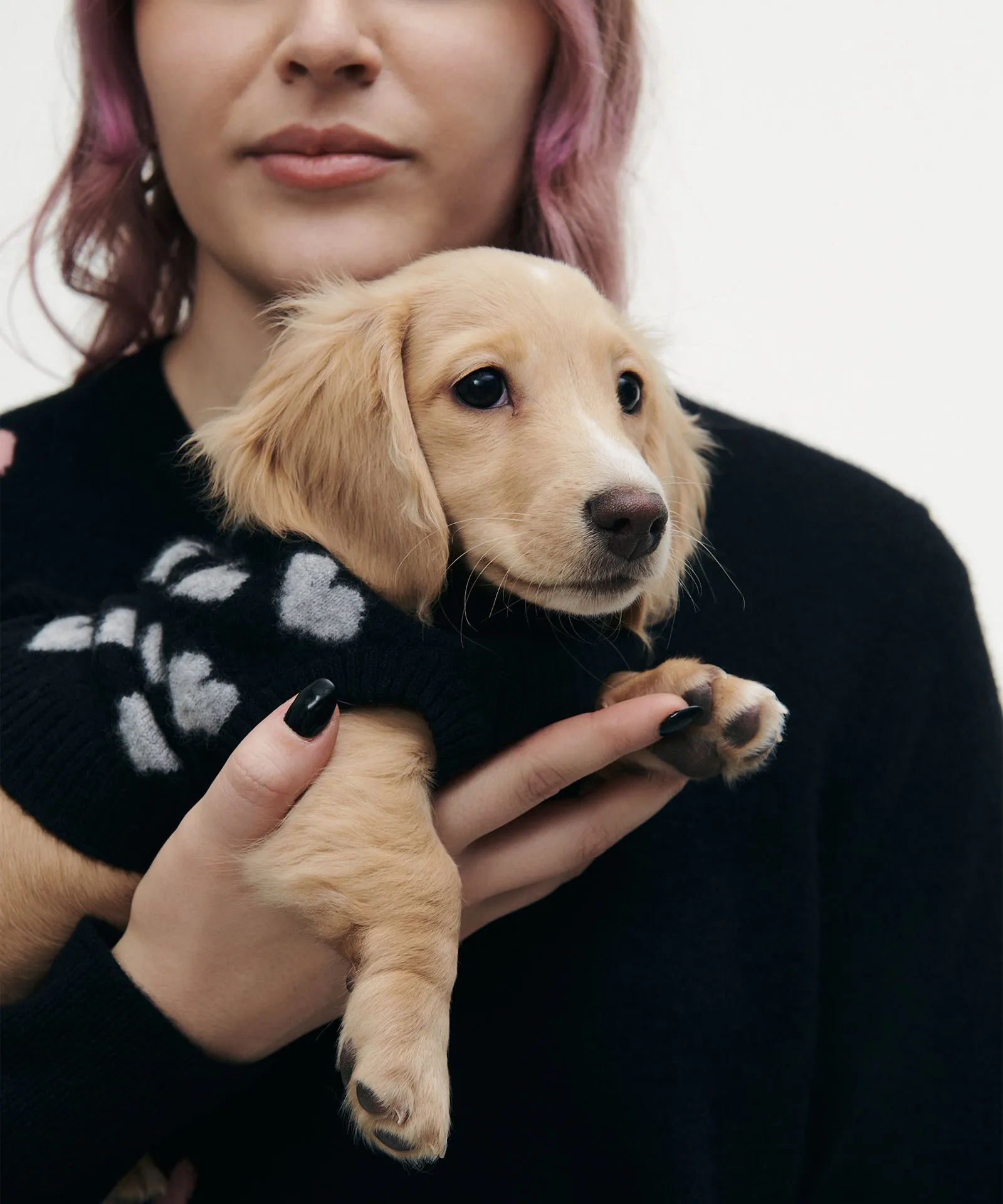 Cashmere Heart Dog Sweater