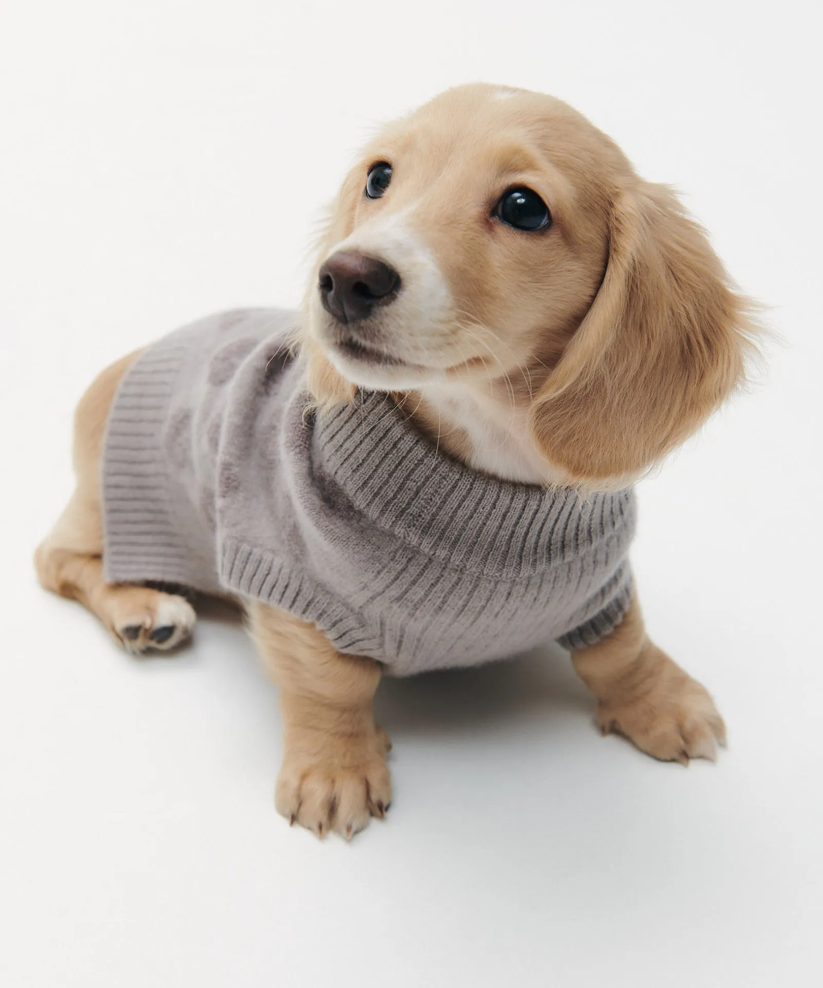 Cashmere Heart Dog Sweater